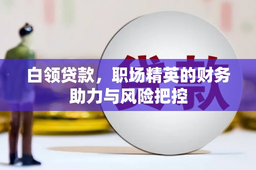 元谋白领贷款，职场精英的财务助力与风险把控